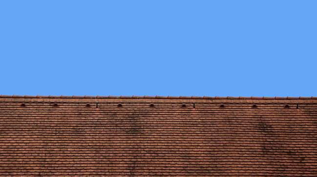 
    5 Signs it’s Time to Replace Your Roof, According to Denver Roofing Professionals  