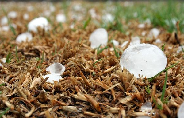 
    Hail Damage Getting You Down? Here's What You Can Do About it From Your Denver Roofing Contractor