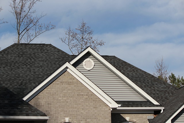 
    Your Top Roofing Questions Answered by Denver Roofing Professionals